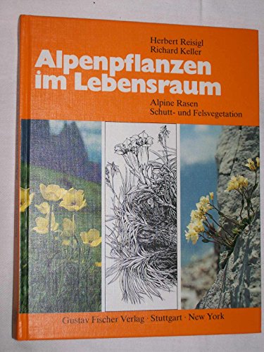 9783437203978: Alpenpflanzen im Lebensraum. Alpine Rasen, Schutt- und Felsvegetation. Vegetationskologische Informationen fr Studien, Exkursionen und Wanderungen