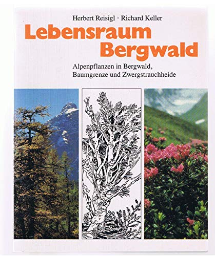 Lebensraum Bergwald: Alpenpflanzen in Bergwald, Baumgrenze und Zwergstrauchheide. Vegetationsökol...