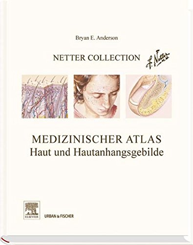 Stock image for Netter Collection Haut und Hautanhangsgebilde for sale by GF Books, Inc.