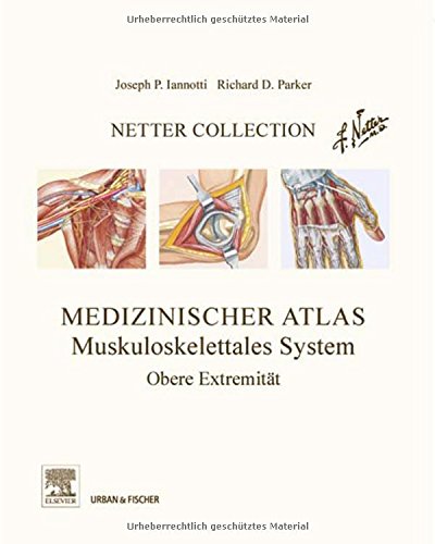 9783437216251: Netter Collection Muskuloskelettales System Band 1: Obere Extremitt