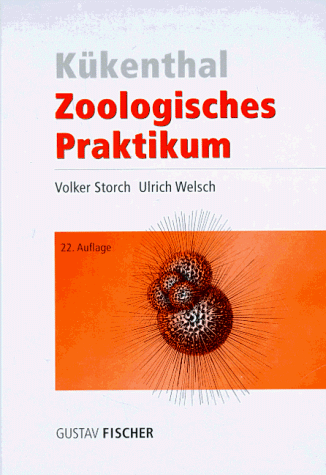 Stock image for Kkenthals Leitfaden fr das zoologische Praktikum / von Volker Storch und Ulrich Welsch for sale by ralfs-buecherkiste