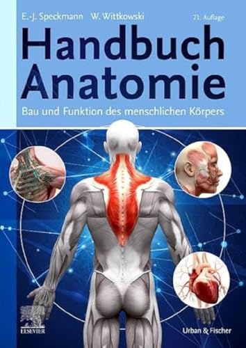 Beispielbild fr Handbuch Anatomie: Bau und Funktion des menschlichen Krpers zum Verkauf von Studibuch