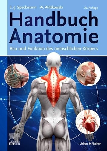 Stock image for Handbuch Anatomie: Bau und Funktion des menschlichen Krpers for sale by Revaluation Books
