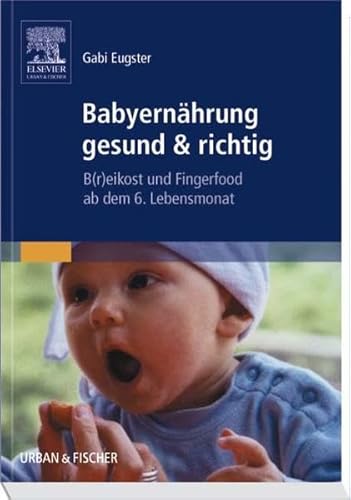 Imagen de archivo de Babyernhrung gesund & richtig: B(r)eikost und Fingerfood ab dem 6. Lebensmonat a la venta por medimops