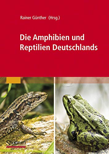 Beispielbild fr Die Amphibien und Reptilien Deutschlands. zum Verkauf von Worpsweder Antiquariat