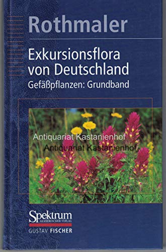 9783437351501: Rothmaler, Exkursionsflora Bd.2: Gefsspflanzen: Grundband (German Edition)