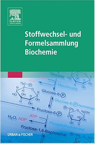 Imagen de archivo de Stoffwechsel- und Formelsammlung Biochemie a la venta por medimops