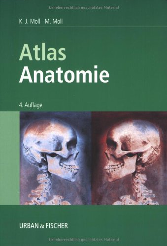 Stock image for Atlas Anatomie for sale by medimops