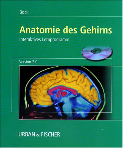 Beispielbild fr Anatomie des Gehirns 2.0, 1 CD-ROM Interaktives Lernprogramm zum Verkauf von medimops