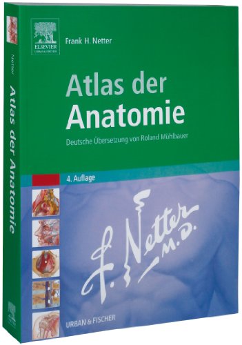 Netter - Atlas der Anatomie Frank H. Netter Anatomieatlas Osteopathie Studium Anatomiebilder Zeichnungen anatomy - Frank H. Netter (Autor)