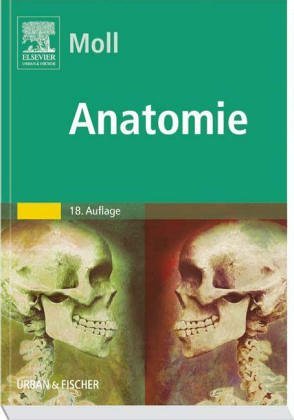 Beispielbild fr Anatomie. Kurzlehrbuch zum Gegenstandskatalog 1 zum Verkauf von medimops