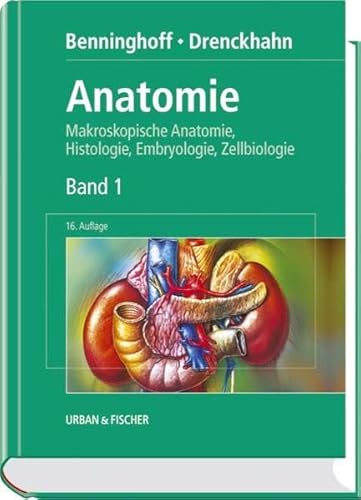 Beispielbild fr Anatomie. Makroskopische Anatomie, Histologie, Embryologie, Zellbiologie, Bd. 1 zum Verkauf von medimops