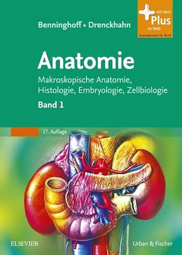 Beispielbild fr Benninghoff Drenckhahn Anatomie zum Verkauf von BuchZeichen-Versandhandel