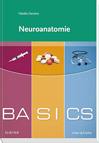 BASICS Neuroanatomie - Garzorz, Natalie