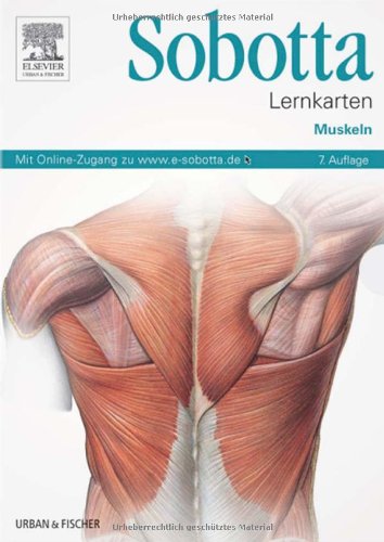 Imagen de archivo de Sobotta Lernkarten Muskeln: Muskeln - mit Zugang zum Elsevier-Portal a la venta por medimops