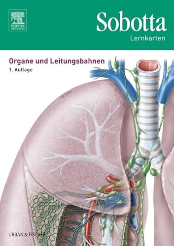 Imagen de archivo de Sobotta Lernkarten Organe und Leitungsbahnen a la venta por medimops