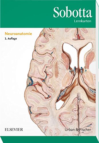 Beispielbild fr Sobotta Lernkarten Neuroanatomie zum Verkauf von medimops