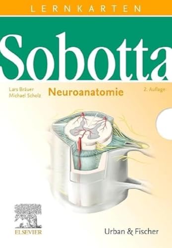 Beispielbild fr Sobotta Lernkarten Neuroanatomie zum Verkauf von medimops