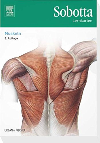 Beispielbild fr Sobotta Lernkarten Muskeln zum Verkauf von medimops