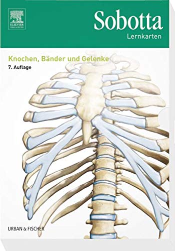 Beispielbild fr Sobotta Lernkarten Knochen, Bnder und Gelenke: Knochen, Bnder, Gelenke zum Verkauf von medimops