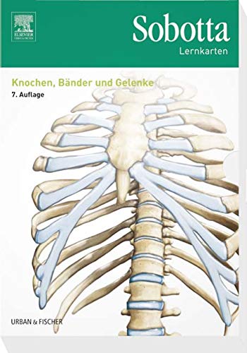 Imagen de archivo de Sobotta Lernkarten Knochen, Bnder und Gelenke: Knochen, Bnder, Gelenke a la venta por medimops