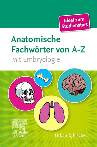 Stock image for Anatomische Fachwrter von A-Z for sale by Blackwell's