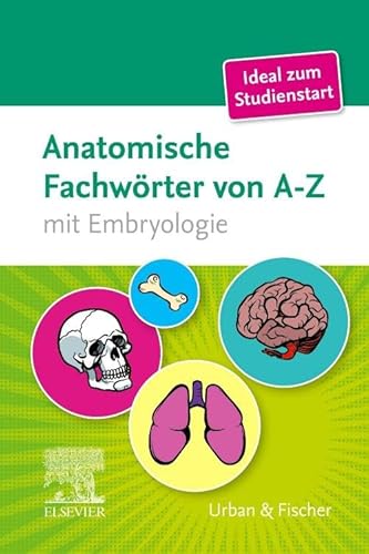 Stock image for Anatomische Fachwrter von A-Z -Language: german for sale by GreatBookPrices