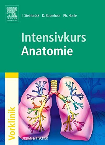 Intensivkurs Anatomie - Steinbrück, Ingo, Daniel Baumhoer und Philipp Henle