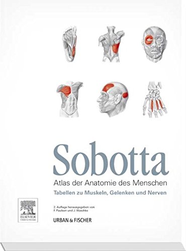 Sobotta Tabellen zu Muskeln, Gelenken und Nerven: Tabellen passend zur 23. Aufl. des Sobotta-Atlas - Johannes Sobotta