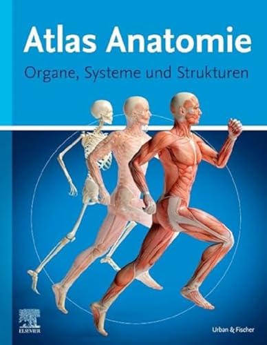 Imagen de archivo de Atlas Anatomie Organe, Systeme und Strukturen a la venta por PBShop.store US