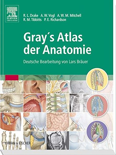 Beispielbild fr Gray's Atlas der Anatomie: Deutsche Bearbeitung von Lars Bruer zum Verkauf von medimops