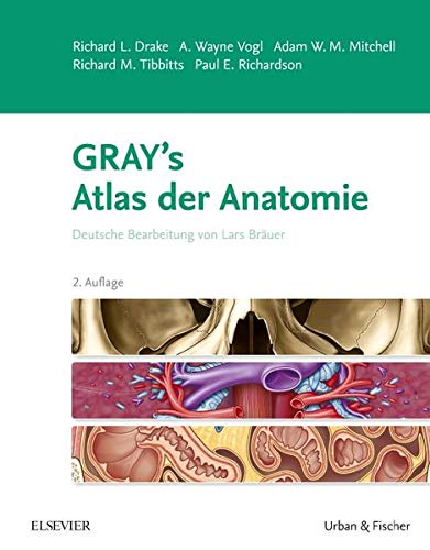 Beispielbild fr Gray's Atlas der Anatomie: Deutsche Bearbeitung von Lars Bruer zum Verkauf von medimops