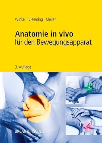 Stock image for Anatomie in vivo fr den Bewegungsapparat for sale by medimops