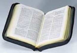 9783438010391: Die Bibel. Senfkornbibel (schwarz mit Goldschnitt und Reiverschlu): Kleine Taschenausgabe ohne Apokryphen