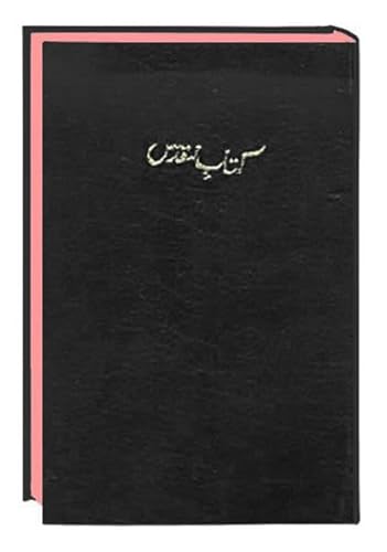 9783438081834: Bibel Urdu - The Holy Bible, Traditionelle bersetzung