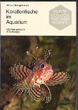 9783440040508: Korallenfische im Aquarium - Neugebauer, Wilbert