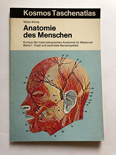 Beispielbild fr Anatomie des Menschen I. Kopf und zentrales Nervensystem. Kursus der makroskopischen Anatomie fr Mediziner zum Verkauf von medimops