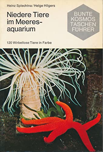 Stock image for Niedere Tiere im Meeresaquarium for sale by Schueling Buchkurier