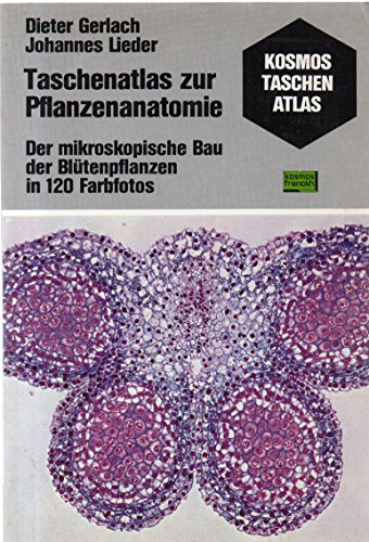 Stock image for Taschenatlas zur Pflanzenanatomie. Der mikroskopische Bau der Bltenpflanzen for sale by medimops