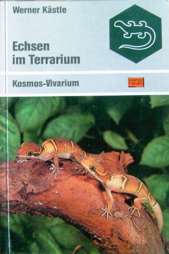 Echsen im Terrarium