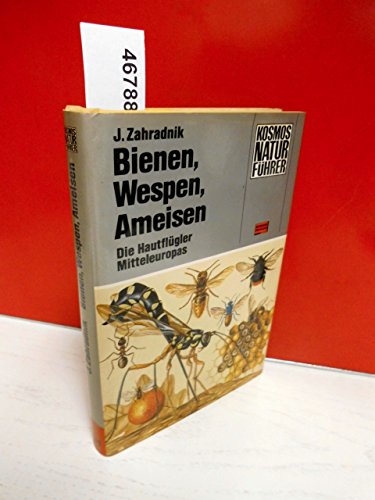 Beispielbild fr Bienen, Wespen, Ameisen. Die Hautflgler Mitteleuropas zum Verkauf von medimops