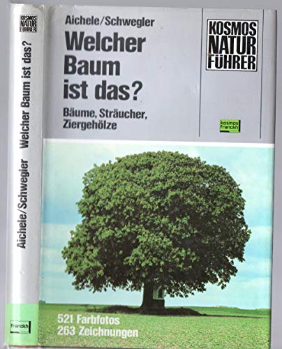 Stock image for Welcher Baum ist das? B?ume - Str?ucher - Ziergeh?lze for sale by Antiquariat Hans Wger