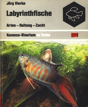 Beispielbild fr Labyrinthfische. Arten, Haltung, Zucht zum Verkauf von medimops