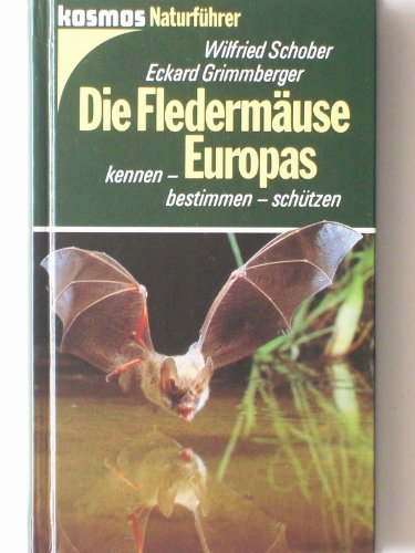 Die Fledermäuse Europas. Kennen, bestimmen, schützen - Schober, Wilfried, Grimmberger, Eckard