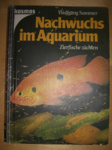 Stock image for Nachwuchs im Aquarium. Zierfische zchten for sale by medimops