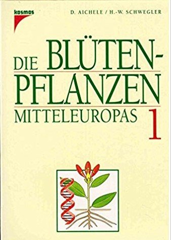 9783440061916: Die Blutenpflanzen Mitteleuropas (German Edition)