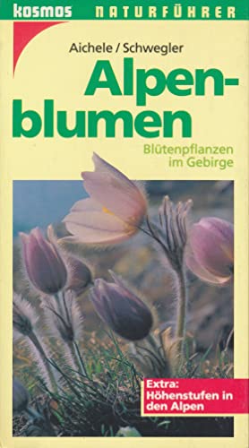 Stock image for Alpenblumen. Bltenpflanzen im Gebirge. Extra: Hhenstufen in den Alpen for sale by Urs Zihlmann