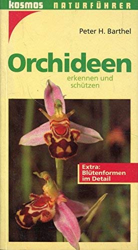 Imagen de archivo de Orchideen erkennen und schützen (Naturführer) a la venta por WorldofBooks