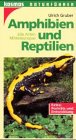 Amphibien und Reptilien. Alle Arten Mitteleuropas - Ulrich Gruber