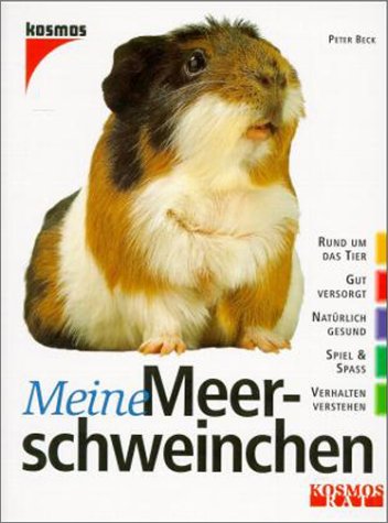 Imagen de archivo de Meine Meerschweinchen. a la venta por Redux Books